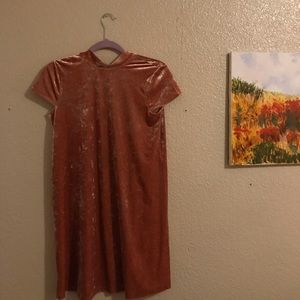 Pink Velvet Madewell dress